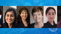 Anna-Lena Steckelberg, PhD; Anum Glasgow, PhD; Laura Landweber, PhD; Bridget Carragher, PhD; Ya-Cheng Lio, PhD; and Iva Greemwald, PhD.
