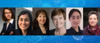 Anna-Lena Steckelberg, PhD; Anum Glasgow, PhD; Laura Landweber, PhD; Bridget Carragher, PhD; Ya-Cheng Lio, PhD; and Iva Greemwald, PhD.